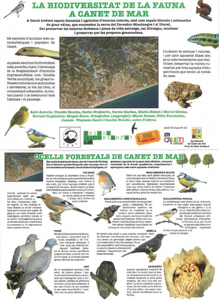 Fauna Canet 01