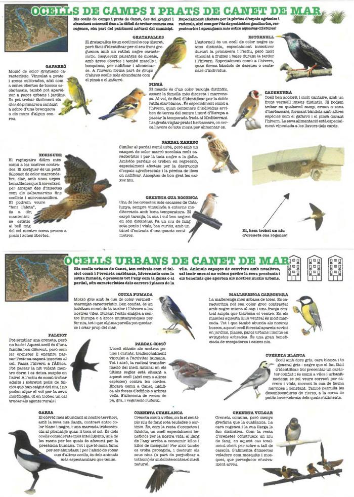 Fauna CANET 02