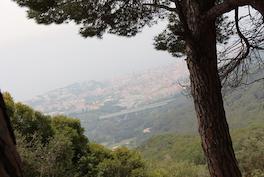 bosc Canet