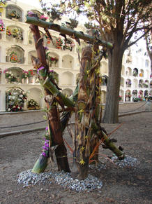 Cementiri novembre 2011
