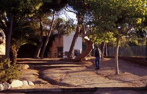 Parc de la Misericòrdia - foto cedida per Mapi Aramendia