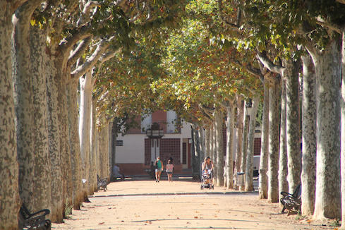 passeig Miseric&ograve;rdia