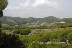 Aeria vall Canet Aeria vall Canet