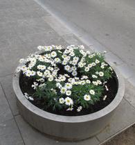 jardineres Gavarra