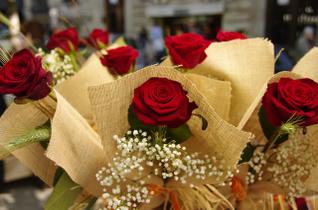 Roses St Jordi - cessi&oacute; J. Esp&iacute;
