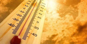 onada de calor - imatge web