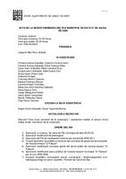 Acta Ple 31/07/2008 - revisat