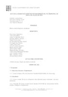 Acta Ple 4 de juliol de 2019
