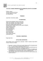 Acta ple 31/01/2013 - revisat