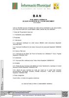 Ban Ple ordinari 27/10/2022