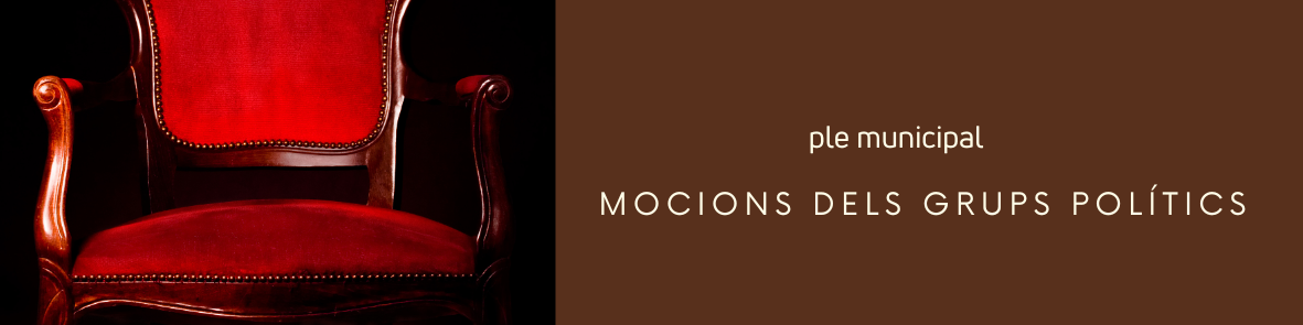 Mocions dels grups poltics - ple municipal