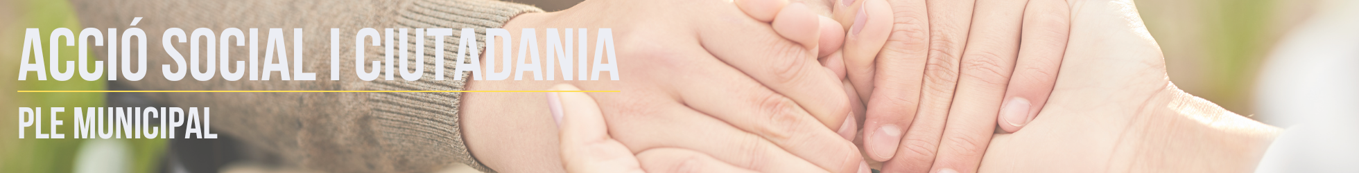 temes Ple - Acci&oacute; Social