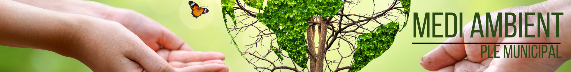 temes ple medi ambient