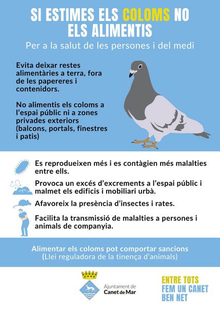 No alimentis coloms