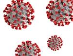 Imatge coronavirus