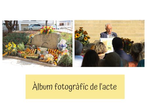 card &agrave;lbum acte diada