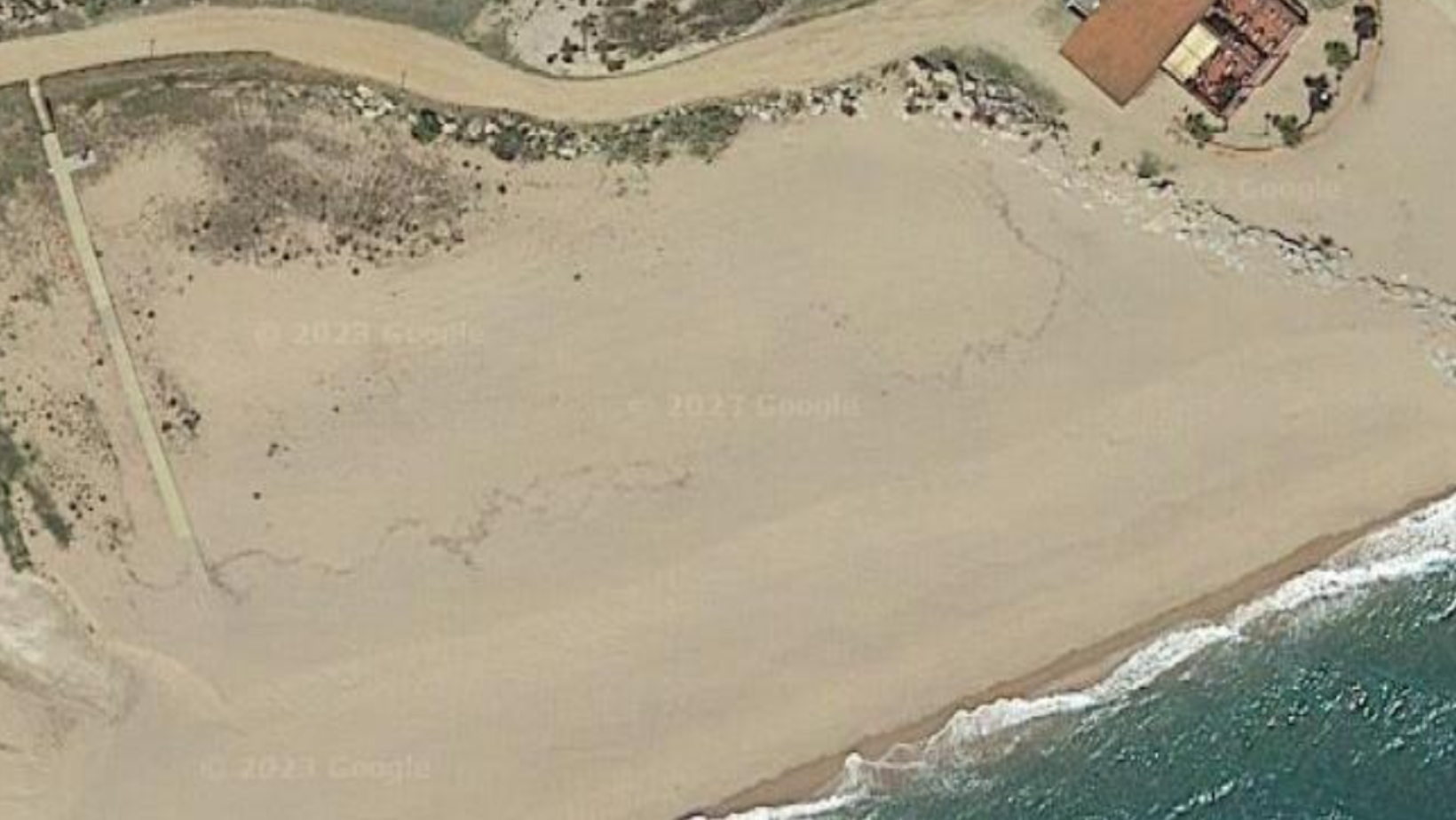 Imatge vista ocell ubicaci&oacute; platja gossos 2023