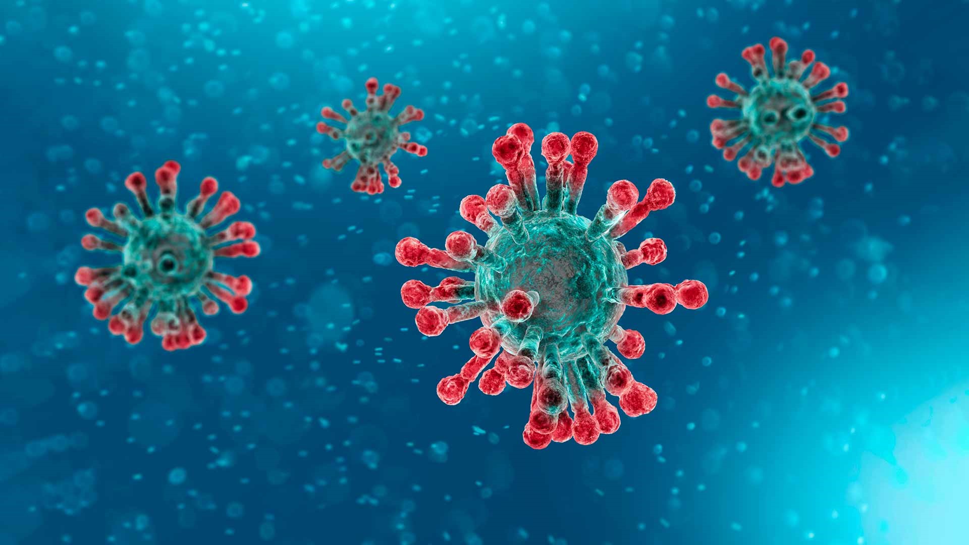 Coronavirus portada