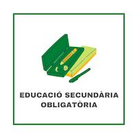 Educció secundària