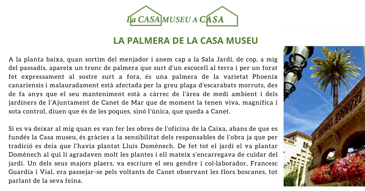 museu a casa 1 museu a casa 1