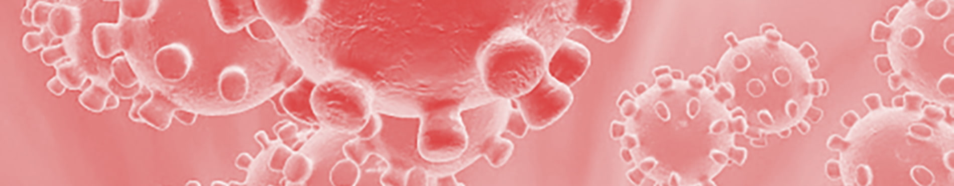 Coronavirus cat salut fons