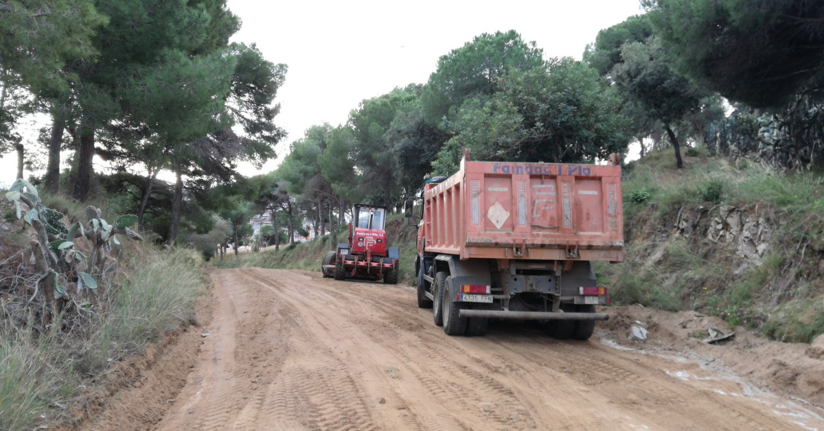 Tasques camins bosc canet