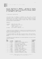 Acta selecci&oacute; TEI