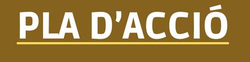 Pla d'Acció