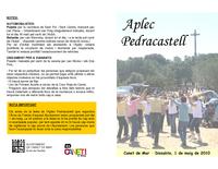 Programa Aplec Pedracastell 2010