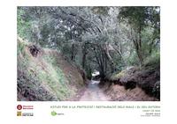 Estudi Rials 2013