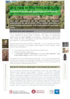 Informaci&oacute; pinedes en s&ograve;l forestal