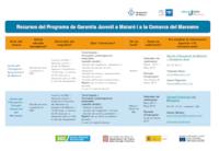 Quadre resum garantia juvenil
