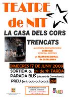 Cartell teatre nit juny 2009