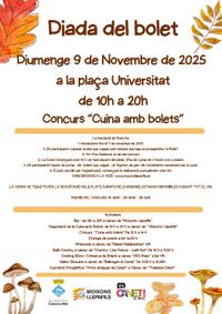 cartell bolet diumenge