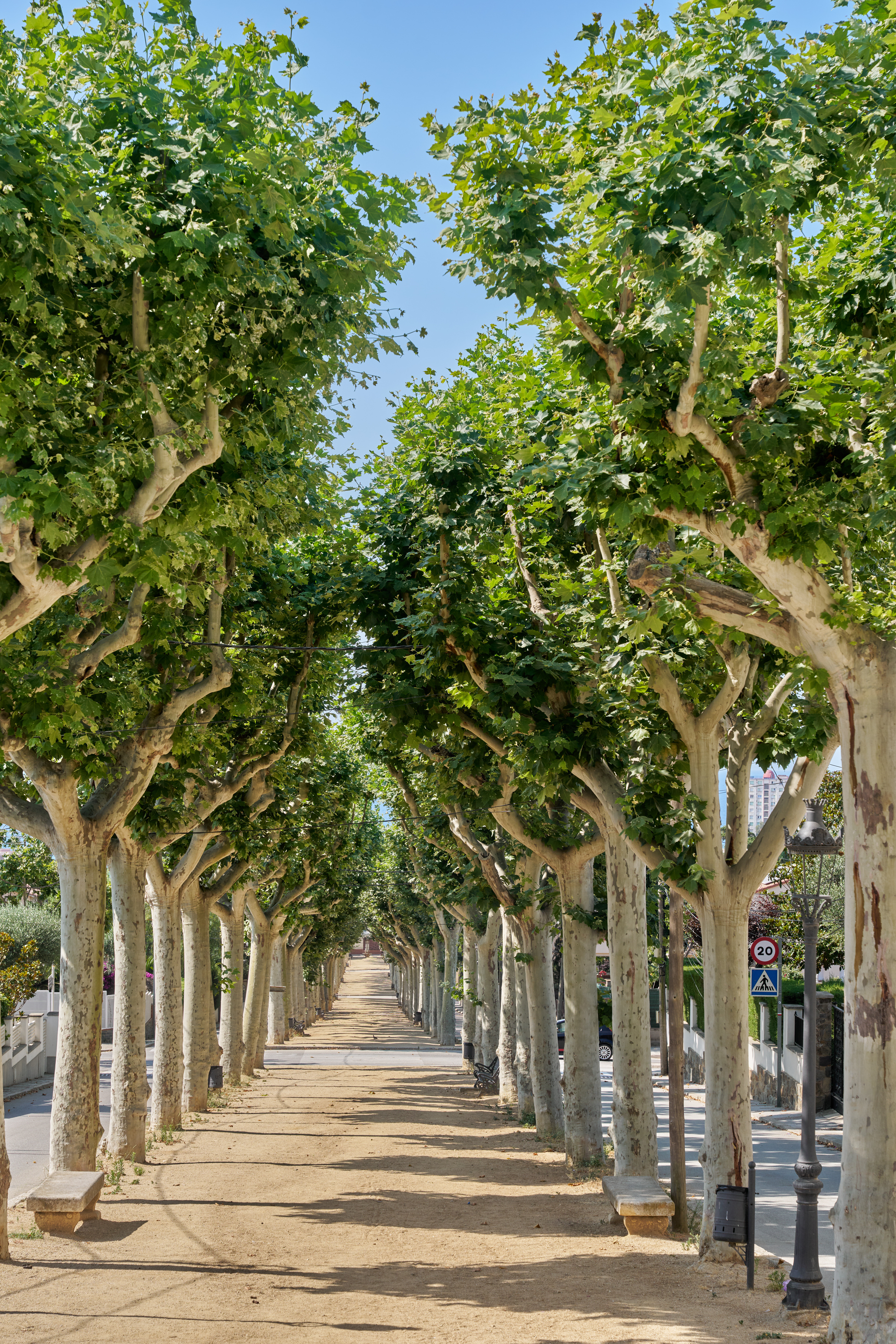 Passeig misericrdia