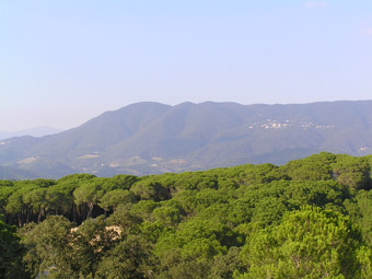 Des la creu es pot veure el Montnegre