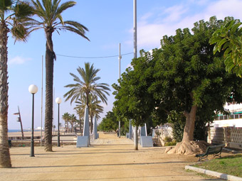 El passeig martim ressegueix gran part de la costa canetenca