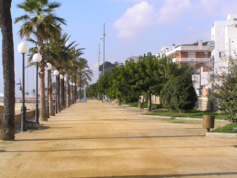 El Passeig Marítin conté un gran nombre de palmeres